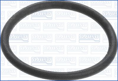 GARNITURA VENTIL AGR