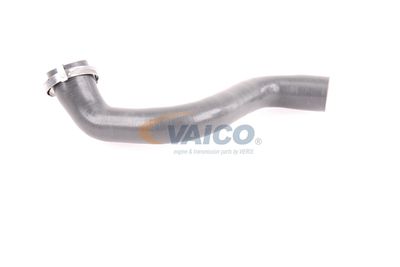 FURTUN EAR SUPRAALIMENTARE VAICO V460823 34