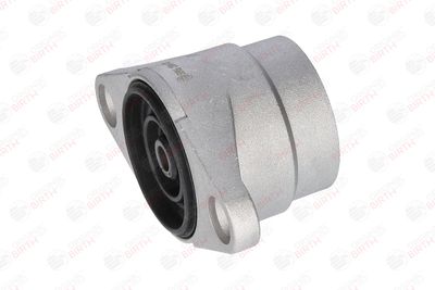 RULMENT SARCINA SUPORT ARC BIRTH 50956 3