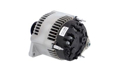 GENERATOR / ALTERNATOR REMANTE 011003000106R 19