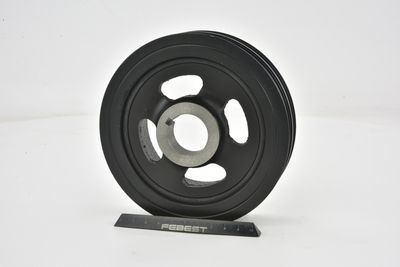 FULIE CUREA ARBORE COTIT FEBEST HYDSLAN 4