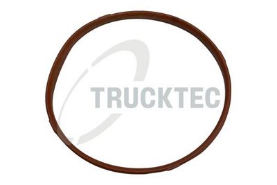 уплътнение, корпус на всмукателен колектор TRUCKTEC AUTOMOTIVE 08.13.002