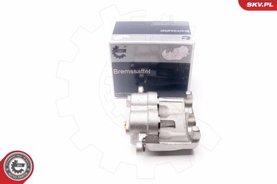 Brake Caliper 23SKV921