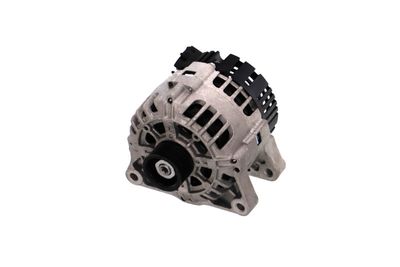 GENERATOR / ALTERNATOR REMANTE 011003000534R 65