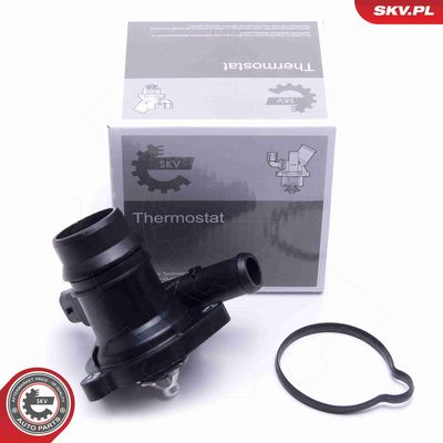 TERMOSTAT LICHID RACIRE