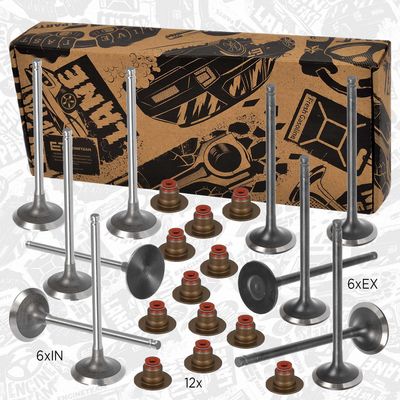 SET SUPAPE SUPAPă ADMISIE/EVACUARE