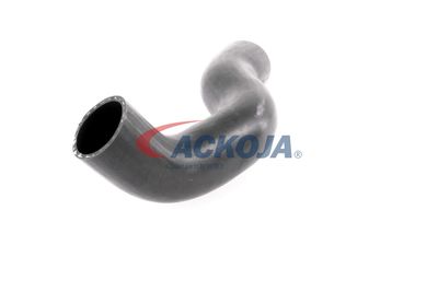 FURTUN EAR SUPRAALIMENTARE ACKOJA A380307 26
