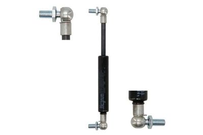 Gasveer door (8mm/18mm, L max-191mm, L2-55, 200N) past: CASE IH JX 1060 C/1060 V/1070 C/1070 N/1070 U/1070 U MAXXIMA/1070 V/1075 C/1075 N/1075 V/360 KOMPAKT/370 KOMPAKT/375 KOMPAKT/TN 55/TN 55 D/TN 55