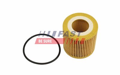 FILTRU ULEI FAST FT01332 1