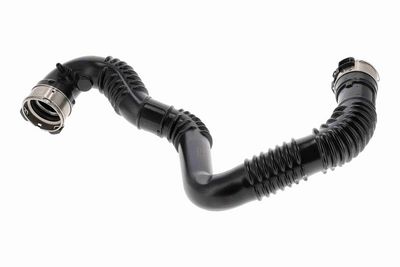 FURTUN EAR SUPRAALIMENTARE ACKOJA A380624 2