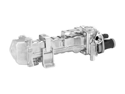 MODUL-EGR BorgWarner 749012D0 1