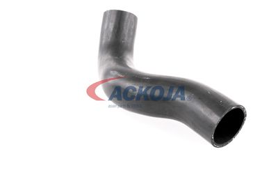 FURTUN EAR SUPRAALIMENTARE ACKOJA A380307 43