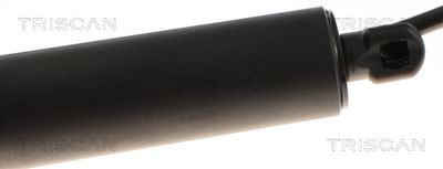 AMORTIZOR PORTBAGAJ TRISCAN 871024301 3