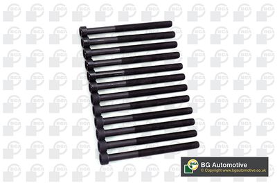 Zestaw śrub głowicy cylindrów BGA BK3354
