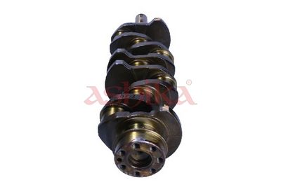 ARBORE COTIT ASHIKA 18MI003 1