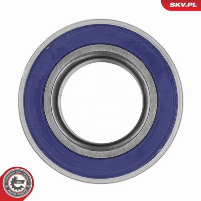 SET RULMENT ROATA ESEN SKV 85SKV005 3