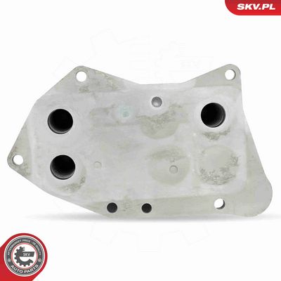 RADIATOR ULEI ULEI MOTOR ESEN SKV 31SKV313 3