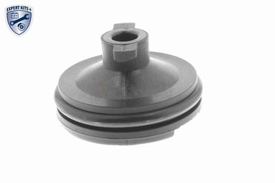 VERSCHLUSSSCHRAUBE ÖLWANNE VAICO V251116 3