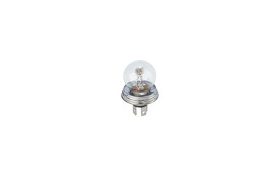 GLüHLAMPE BOSCH 1987302023 30