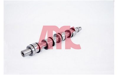 NOCKENWELLE AMC 647329 1
