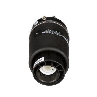 LUFTFEDER FAHRWERK Arnott A2934 34