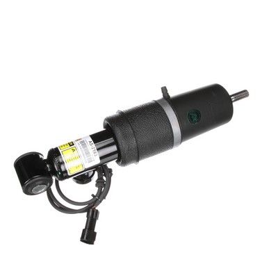 LUFTFEDERBEIN Arnott AS2163 63