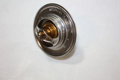 Termostat, chladivo AUTOMEGA 160072810