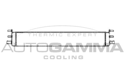 AUTOGAMMA 105171 Радиатор охлаждения двигателя для MERCEDES-BENZ C-CLASS T-Model (S203)