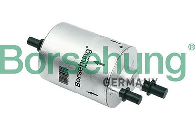 Borsehung Kuro filtras