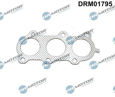 DICHTUNG ABGASKRüMMER