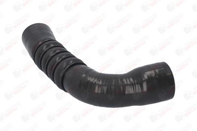 FURTUN EAR SUPRAALIMENTARE BIRTH 55588 9