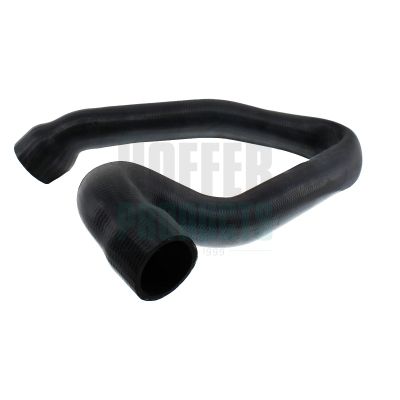 FURTUN EAR SUPRAALIMENTARE