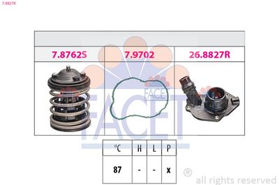 TERMOSTAT LICHID RACIRE
