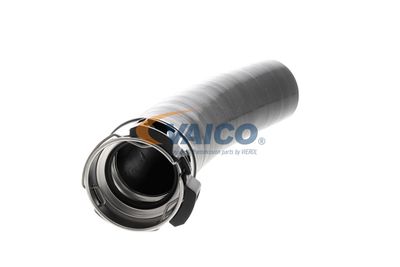 LADELUFTSCHLAUCH VAICO V461198 51