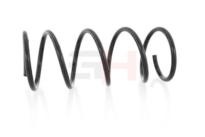 ARC SPIRAL GH GH223202 6