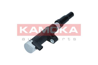 Ignition Coil 7120057