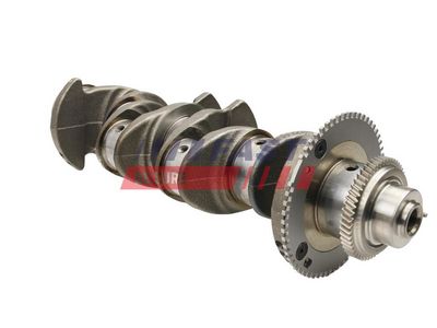 ARBORE COTIT FAST FT51701 3