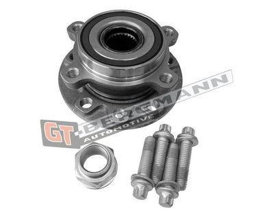 GT-BERGMANN Automotive Rato guolio komplektas
