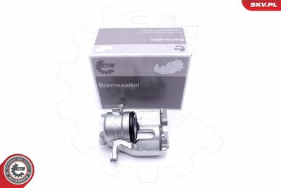 Brake Caliper 50SKV492