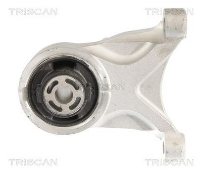 SUPORT MOTOR TRISCAN 850581102 1