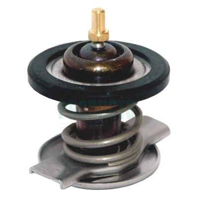 TERMOSTAT LICHID RACIRE HOFFER 8192677IN