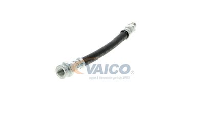 FURTUN FRANA VAICO V249644 18