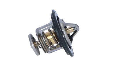 TERMOSTAT LICHID RACIRE NRF 725143 37