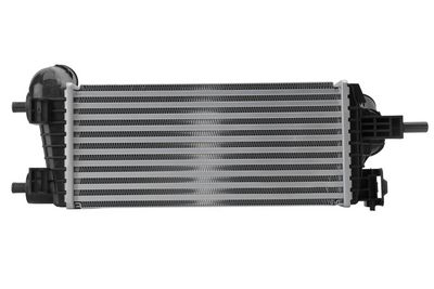INTERCOOLER COMPRESOR HELLA 8ML366341541 2