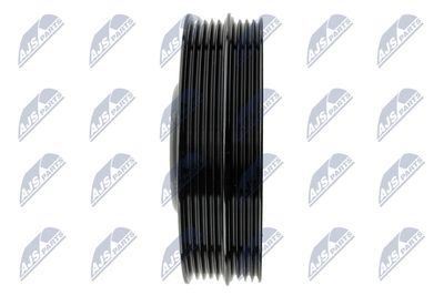 FULIE CUREA ARBORE COTIT NTY RKPVW013 2