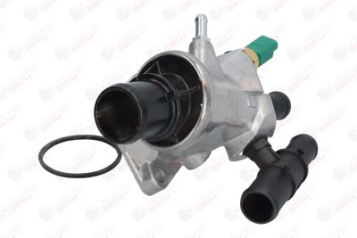 FLANSA LICHID RACIRE BIRTH 80007 12