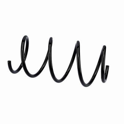 ARC SPIRAL EIBACH R10875 20