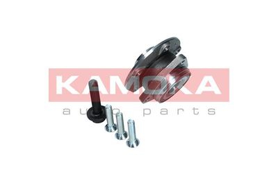 Wheel Bearing Kit 5500171