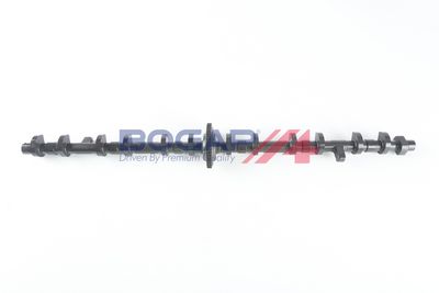 ARBORE EXCENTRIC REGLAREA ARBORELUI CU CAME BOGAP B1924100