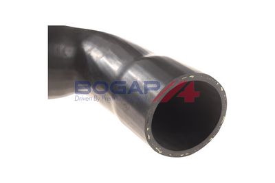 FURTUN EAR SUPRAALIMENTARE BOGAP B1711130 3